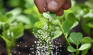 2026中國氮肥行業發展現狀與產業鏈分析