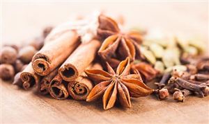 植物香料行業(yè)市場(chǎng)供需格局及未來(lái)趨勢(shì)調(diào)研分析2026