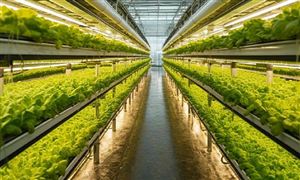 2025年塑料大棚行業發展現狀與趨勢分析