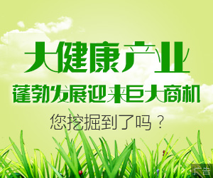 大健康產業規劃