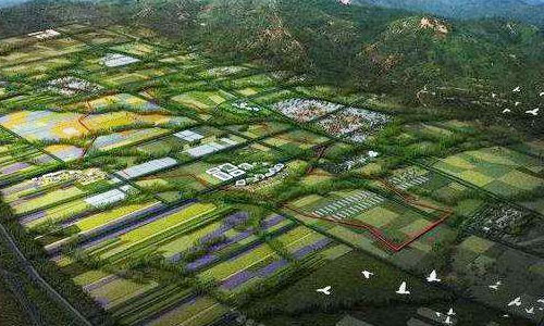 黑龍江國家級現代農業示范區